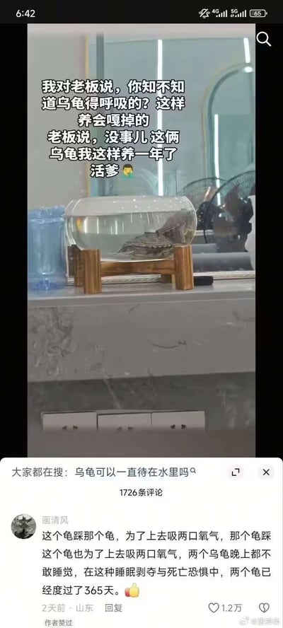 社交媒体截图内容显示，一名员工提醒老板乌龟需要呼吸，这样饲养会导致乌龟死亡，老板则回应称已这样养了一年且乌龟活得很好。配图为一个装有两只乌龟的玻璃缸，缸内水位较高，可能影响乌龟呼吸。评论区热门评论调侃两只乌龟为了吸氧互相踩踏，在恐惧中度过一年，整体内容以幽默方式反映职场中关于宠物饲养知识的争议。