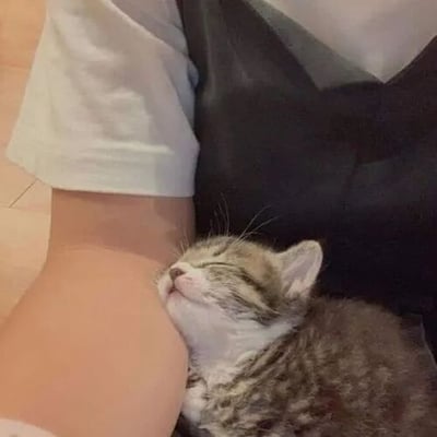暂无描述