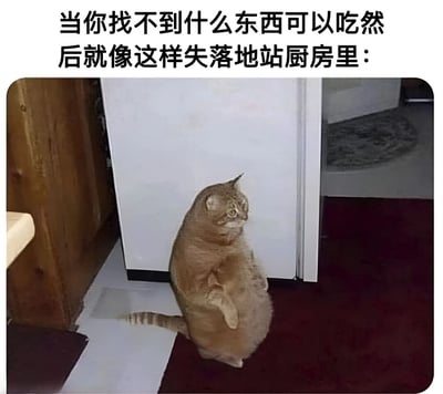图片上方配有文字“当你找不到什么东西可以吃然后就像这样失落地站厨房里：”，下方是一只胖橘猫直立站在厨房中，位于白色冰箱和木质橱柜之间，身体微胖，尾巴自然下垂，头部转向一侧，眼神中带着明显的失落和迷茫，仿佛在寻找食物却一无所获。整体画面通过猫咪的表情和姿态，幽默地再现了人们找不到东西吃时的无奈场景。