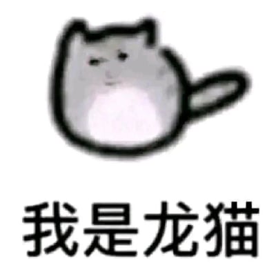 这是一张具有反差感的搞怪图文表情包，画面上方是一个手绘风格的圆滚滚灰色猫咪，有着简约的面部线条，表情平淡慵懒，与真正的龙猫形象相去甚远；画面下方配有醒目的黑色粗体文字“我是龙猫”，通过形象与自称的强烈反差，制造出幽默、搞怪的效果，适合在社交聊天场景中用来玩梗、活跃气氛。
