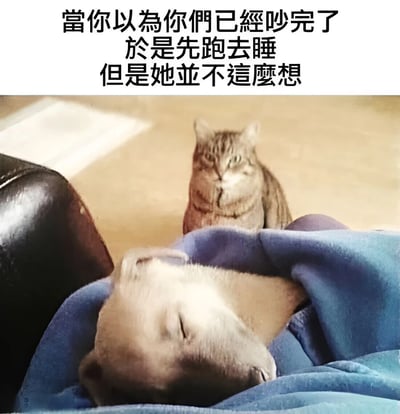 图片上方配有文字“當你以為你們已經吵完了 於是先跑去睡 但是她並不這麼想”，下方是两只猫的照片。前景中一只猫裹在蓝色毯子里沉睡，背景中另一只虎斑猫正坐在地上，眼神严肃地盯着睡着的猫，生动演绎了情侣吵架后一方想结束争执睡觉，另一方却仍未释怀的场景。