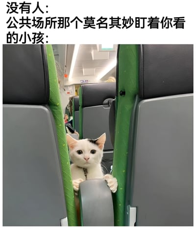这张梗图通过幽默的方式描绘了一个常见的生活场景。图片上方文字写着"没有人: 公共场所那个莫名其妙盯着你看的小孩:"，下方则是一只白猫从公共交通工具的座位间隙中探出头来，用好奇的眼神盯着前方，完美诠释了标题中描述的"莫名其妙盯着你看的小孩"的形象。猫的表情和姿势都显得十分生动有趣，让人联想到在公共场所被陌生小孩盯着看时的微妙感受。