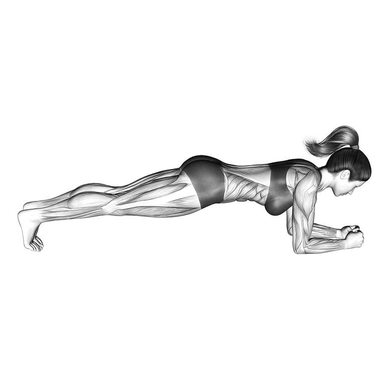 Fitness Educational Material