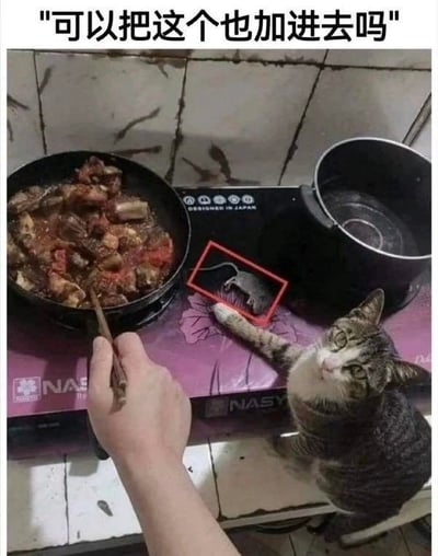 暂无描述