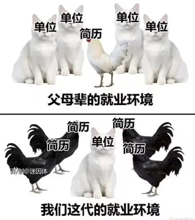 这是一张用猫和鸡对比两代人就业环境的梗图。上半部分用几只猫代表 '单位'，只有一只鸡（代表简历）在它们之间，寓意父母辈找工作时，单位多简历少；下半部分只有一只猫代表 '单位'，周围环绕着四只黑色公鸡（简历），寓意当代人找工作，单位少竞争激烈，简历多且难以脱颖而出。

图片利用视觉和物种差异增强对话感，贴合年轻人对就业形势的无奈和调侃。

没有明显双关词、谐音梗，但通过猫和鸡的对比，有自嘲和调侃的氛围。