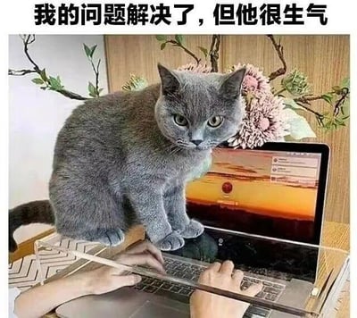 这是一张带有视觉错位效果的趣味梗图，画面中一只灰色英短猫蹲在透明板上，借助错位效果看起来仿佛直接压在笔记本电脑的键盘上方，下方有一双手正在键盘上操作电脑，电脑屏幕显示着操作界面。图片顶部配有文字“我的问题解决了，但他很生气”，将猫拟人化，调侃自己在求助他人（用猫代指帮忙的对象）解决问题后，对方却因被麻烦、被占用空间而感到不悦的状态，猫一脸不满的表情完美呼应了文字描述，制造出搞笑又真实的日常感。