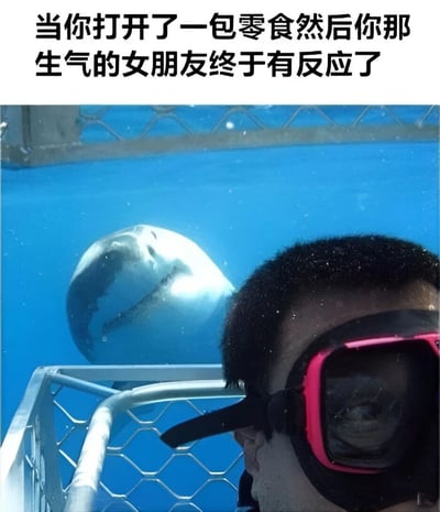 这张梗图上方配有文字'当你打开了一包零食然后你那生气的女朋友终于有反应了'，下方是一张真实的水下照片：一名戴着粉色边框潜水镜的男子在鲨鱼笼中，一条巨大的大白鲨正张着嘴从他身后逼近，形成强烈的视觉冲击。图片通过将生气女友的突然反应比喻为凶猛鲨鱼的突袭，用夸张幽默的方式表现了情侣日常中因零食引发的有趣场景。