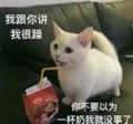 我跟你讲我超甜的猫咪梗图