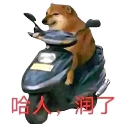 这是一张经过P图改编的静态表情包，创作者将一只斜眼、表情戏谑不屑的柴犬形象与电动车合成，营造出柴犬骑着电动车的搞笑画面。图下方配有文字“哈人，润了”，其中“哈人”是“吓人”的谐音，“润了”是网络流行语，意为“跑了、溜了”，整体用幽默的方式表达遇到令人害怕或厌烦的事情时，想要立刻逃离的心情，常被用于社交场景中抒发自己想逃离当下处境的情绪。