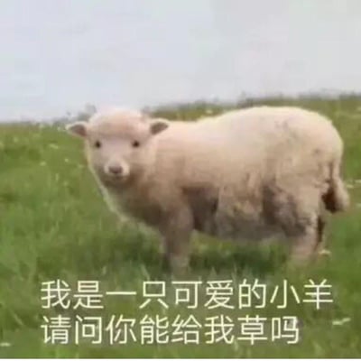 图片展示了一只站在绿草地上的浅粉色小羊，小羊毛发看起来软乎乎的，腿部和腹部带有一些污渍，正懵懂无辜地看向镜头。图片下方配有文字：“我是一只可爱的小羊 请问你能给我草吗”，这里的“草”是双关语，既指小羊食用的青草，又谐音脏话“操”，用可爱的语气制造出反差搞笑的效果。