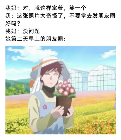 这是一张图文结合的搞笑网络meme，上方文字模拟了一段和妈妈的日常对话：妈妈指挥“我”摆姿势拍照，“我”觉得照片效果奇怪，请求妈妈不要将其发布到朋友圈，妈妈答应了“我”的请求。但文字下方展示的“妈妈第二天的朋友圈内容”，却是《火影忍者》中原本冷酷强大的角色我爱罗，穿着务农的宽边帽和背带裤，双手捧着一盆花的违和感十足的图片。用这种反差感来调侃妈妈们答应不发孩子奇怪照片却食言，甚至发了一张更“奇怪”的照片的日常，制造出强烈的搞笑效果，精准戳中了很多人被妈妈发奇怪照片到朋友圈的共鸣点。