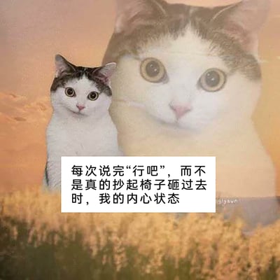 这是一张经过P图改编的网络梗图，画面背景为黄昏下的草地，前景是一只表情平静、眼神带着隐忍感的白灰花色猫咪，它的身后有一个与它长相完全一致的超大尺寸虚影，形成强烈的视觉反差。图中配有文字：“每次说完‘行吧’，而不是真的抄起椅子砸过去时，我的内心状态”，用猫咪表面的平静和内心巨大的愤怒虚影的对比，精准地刻画了人们在面对让自己不满的状况时，嘴上选择妥协、压抑怒火，内心却早已充满愤怒的真实情绪，这类内容常被用于吐槽职场或生活中被迫妥协的无奈场景。