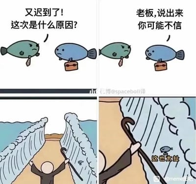 暂无描述