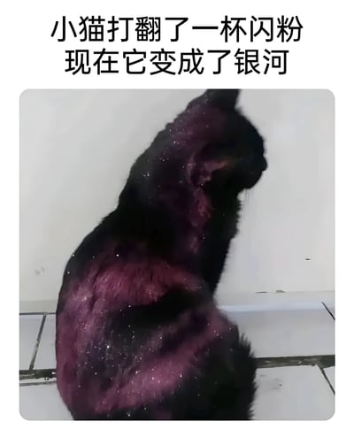 图片上方有文字'小猫打翻了一杯闪粉 现在它变成了银河'，下方是一只被紫色闪粉覆盖的猫，闪粉在猫身上呈现出类似银河星空的效果，看起来既滑稽又神奇。