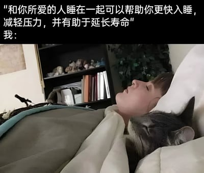 图片上方是一段文字：'和你所爱的人睡在一起可以帮助你更快入睡，减轻压力，并有助于延长寿命'，下方接'我：'，配图是一个人躺在床上，头枕着枕头，旁边依偎着一只猫，两者都处于睡眠状态，营造出温馨又幽默的对比——将'所爱的人'幽默地替换为猫，展现了宠物在主人生活中的重要地位和带来的慰藉。