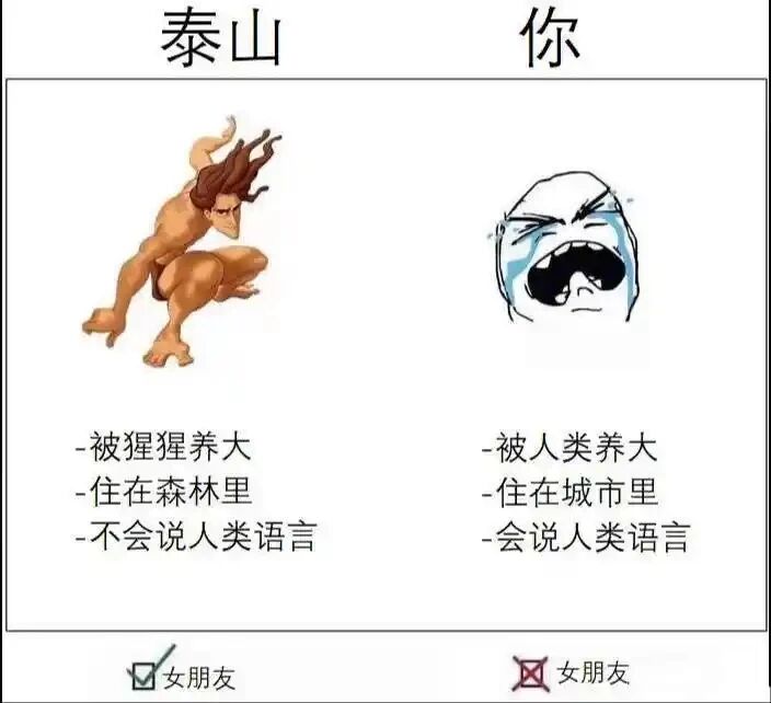 动画《人猿泰山》