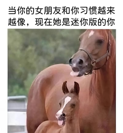 图片上方配有文字“当你的女朋友和你习惯越来越像，现在她是迷你版的你”，下方是一张两只马的照片。照片中一只体型较大的棕色马和一只体型较小的棕色马站在一起，两只马都伸出舌头，表情和姿态非常相似，形象地比喻了女朋友因习惯相似而变成“迷你版自己”的有趣场景。