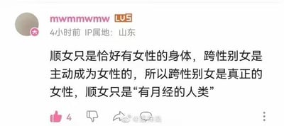 这是一张哔哩哔哩（B站）用户的评论截图，用户ID为mwmmwmw，等级为LV5，IP属地显示为山东，评论发布于4小时前。截图中的评论内容提出了极具争议性的观点：认为顺性别女性（顺女）只是恰好拥有女性身体，而跨性别女性是主动成为女性的，因此跨性别女性才是真正的女性，顺性别女性只是‘有月经的人类’。该言论在性别议题范畴内引发争议，容易激起相关讨论。