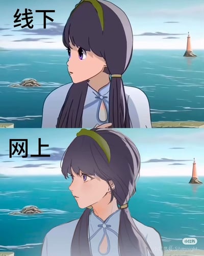 这是一张对比梗图，上半部分写着“线下”，下半部分写着“网上”。画面使用了同一个女性动漫角色，背景为海边，两张图为同一视角。对比通过两个场景表达：线下完全自然呈现，网上则用特殊编辑处理。这个现象讽刺了大家线下与网络上的身份和自我表达上的差异，突出网络环境下的自我伪装与人设，有明显的现实与虚拟的双关暗示。