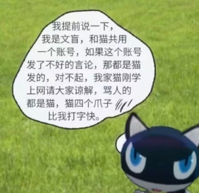图片中是一只蓝眼睛的卡通黑猫，背景为绿色草地。黑猫头部右侧有一个白色对话框，内容为：“我提前说一下，我是文盲，和猫共用一个账号，如果这个账号发了不好的言论，那都是猫发的，对不起，我家猫刚学上网请大家谅解，骂人的都是猫，猫四个爪子比我打字快。” 整体通过拟人化的方式，以“猫打字快”为幽默借口，调侃网络言论责任归属问题，营造轻松戏谑的氛围。