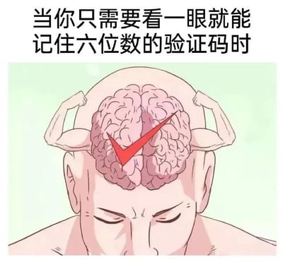 图片上方配有文字'当你只需要看一眼就能记住六位数的验证码时'，下方是一幅卡通插画，描绘了一个人的头部特写，其大脑被拟人化地画有两只手臂，手臂呈弯曲肌肉状，大脑中央有一个红色的对勾。整体通过夸张的手法，幽默地表现出能快速记住验证码时大脑的'强大'状态。