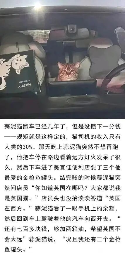 跑车司机