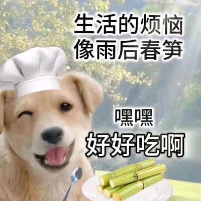 这是一张经过P图改编的静态表情包，画面主体是一只戴着白色厨师帽的小狗，它一只眼睛眯起，吐着舌头，表情看起来十分满足愉悦。小狗面前的白色盘子里摆放着几段绿色的甘蔗，旁边还放着一把金属勺子。图片上方配有文字“生活的烦恼像雨后春笋”，右侧配有文字“嘿嘿 好好吃啊”，通过将生活烦恼比作雨后春笋，却用小狗享受啃甘蔗的快乐姿态来形成反差，以幽默的方式传递出即便生活中烦恼不断，也能保持乐观心态、专注当下快乐的生活态度。