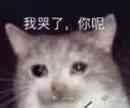 委屈猫猫：我哭了，你呢
