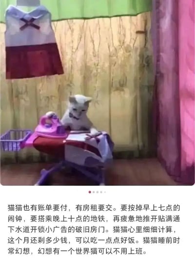 暂无描述