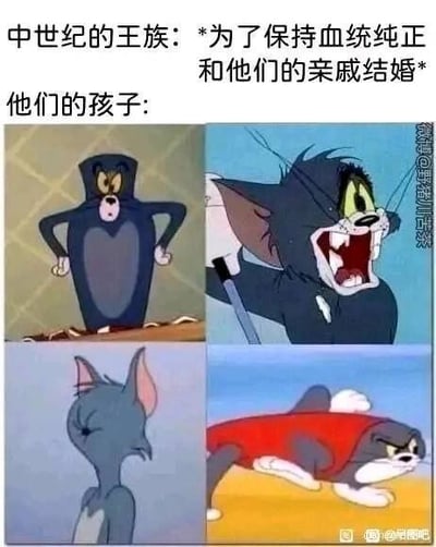 梗图上方文字描述中世纪王族为保持血统纯正而选择近亲结婚的背景，下方通过四格漫画形式展示他们孩子的不同状态：左上角汤姆身体畸形站立，右上角汤姆愤怒咆哮，左下角汤姆表情怪异扭头，右下角汤姆穿着红色衣服狼狈爬行。通过《猫和老鼠》中汤姆的夸张形象，幽默讽刺近亲结婚可能导致的不良后果。