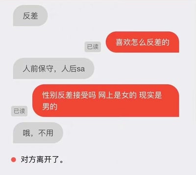 这是一张静态的网络聊天记录截图，记录了两位匿名网友的简短对话。对话初始，一方提出“反差”话题，另一方询问其偏好的反差类型，对方表示喜欢“人前保守，人后sa”的反差，其中“sa”是“飒”的谐音，指人后展现出利落、张扬的状态。随后询问方提出“网上是女性，现实是男性”的性别反差，询问对方是否接受，对方回复“哦，不用”后直接终止对话，界面显示“对方离开了”。整个对话展现了网络社交中，当交流内容不符合自身预期时，一方直接终止对话的场景，充满了趣味与现实感。