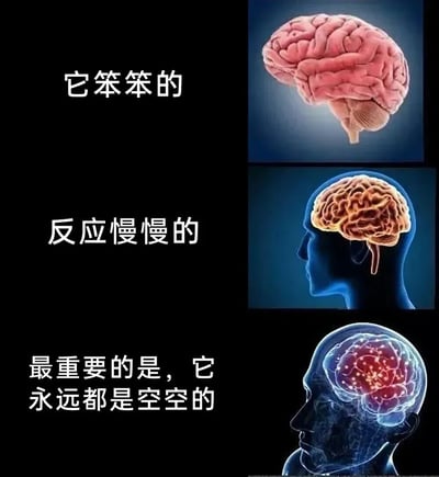 这是一张自嘲式的梗图，通过三张大脑图像和对应的文字描述，幽默地表达了自我调侃的情绪。图片分为三个部分，上方是一张大脑特写，配文'它笨笨的'；中间是一张头部轮廓中的大脑图像，配文'反应慢慢的'；下方是一张显示大脑内部活动的图像，配文'最重要的是，它永远都是空空的'。整体采用黑色背景，文字为白色，形成鲜明对比，突出表达了自嘲自己头脑空空、反应迟钝的幽默效果。