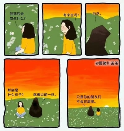 这是一组由五格画面组成的连环漫画，背景设定在黄昏时分开满白色小花的草地中。第一格画面里，穿黄色上衣的女孩坐着抬头，面露疑惑地发问；第二格女孩侧头，继续追问关于来生的问题；第三格中一个深色的、类似死神的神秘形象出现，给出肯定答复；第四格女孩盘腿坐着，进一步询问来生的模样，神秘形象回答“就像以前一样”；第五格画面拉远，能看到天边的夕阳，神秘形象补充道“只是你的朋友们不会在那里”，女孩与神秘形象一同看向远方，氛围满是落寞与孤独。整组漫画通过对话逐步展开，最后一句话戳中了人们对失去陪伴、独自面对陌生世界的恐惧，用看似平静的探讨传递出强烈的孤独感。