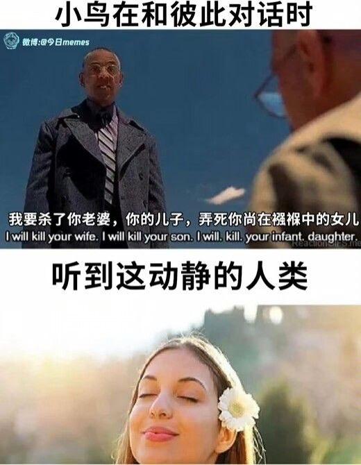 古斯塔沃·弗林