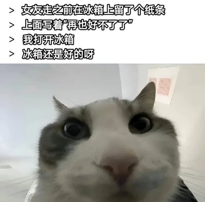图片上半部分为黑色加粗文字，内容是“女友走之前在冰箱上留了个纸条 上面写着‘再也好不了了’ 我打开冰箱 冰箱还是好的呀”，下半部分是一只灰白色猫咪的近距离特写，猫咪瞪着圆溜溜的大眼睛，眼神中充满困惑，仿佛在呼应文字中“我”对纸条内容的误解。
双关说明：女友留言“再也好不了了”实际可能指两人关系无法挽回，但“我”却误以为是冰箱坏了，这种直男式理解偏差形成了幽默效果。