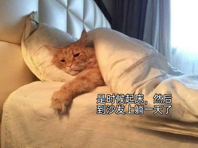 暂无描述