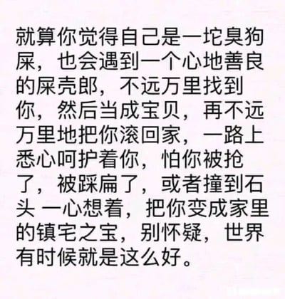这是一张纯文字静态单图，背景为浅粉色，文字为黑色，内容以拟人化的接地气比喻展开：将处于自我否定状态的人比作“一坨臭狗屎”，将懂得珍视他们的人比作“心地善良的屎壳郎”，描述了屎壳郎不远万里找到这坨“臭狗屎”，将其当作宝贝悉心呵护，生怕它被抢、被踩扁或撞到石头，一心想把它变成家里的镇宅之宝，最后点明“世界有时候就是这么好”，以此温柔安慰那些自我怀疑、自我否定的人，传递出每个人都会被他人珍视的温暖治愈情绪，文案用幽默的比喻消解负面情绪，风格暖心又亲切。