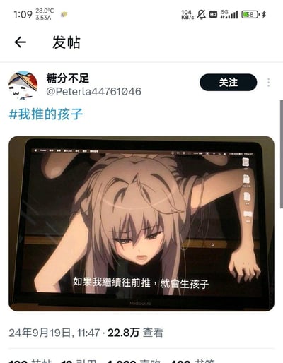 该图片为社交媒体平台的发帖截图，用户“糖分不足”（@Peterla44761046）发布了一条带有#我推的孩子 标签的内容。帖子中包含一张MacBook Air屏幕截图，显示某动画场景：一位灰色长发的女性角色身体前倾，双手撑地，眼神略带惊讶与紧张，屏幕下方配有中文字幕“如果我继续往前推，就会生孩子”。截至2024年9月19日11:47，该帖子已有22.8万查看量。