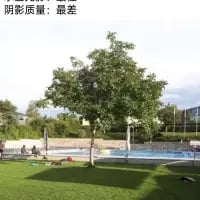 这是一张户外休闲场景的实拍横图，画面中心是一棵枝叶茂密的大树，树下是翠绿的草坪，远处可见蓝色的泳池，还有几位人士在泳池周边活动。图片左上角添加了文字“阴影质量：最差”，以此调侃这棵树的遮阳效果不佳，无法为下方区域提供足够的阴凉，整体氛围轻松诙谐，适合用来吐槽遮阳条件差的户外场所。