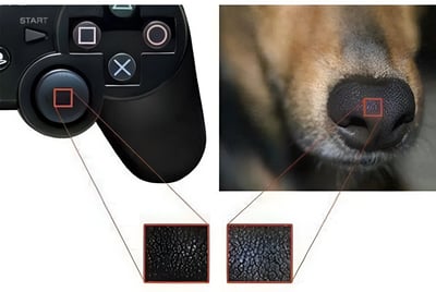 这张图片将PlayStation游戏控制器的摇杆表面纹理与狗鼻子的表面纹理进行并列对比。左侧为控制器摇杆的特写，右侧是狗鼻子的特写，两者下方均配有放大的纹理细节图，直观展示出两者纹理的惊人相似性。该图通过这种意外的相似点制造幽默效果，引发观者的好奇与笑意。