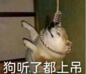 这是一张经过P图改编的网络梗图，图中一只真实猫咪的照片被修改，给它添加了上吊的绳索，呈现出身体后仰、仿佛上吊的姿态，图片下方配有文字“狗听了都上吊”。这张图用来形容听到的内容或遇到的事情极其离谱、让人难以接受，通过夸张的画面放大无语、崩溃的情绪，风格搞笑荒诞。