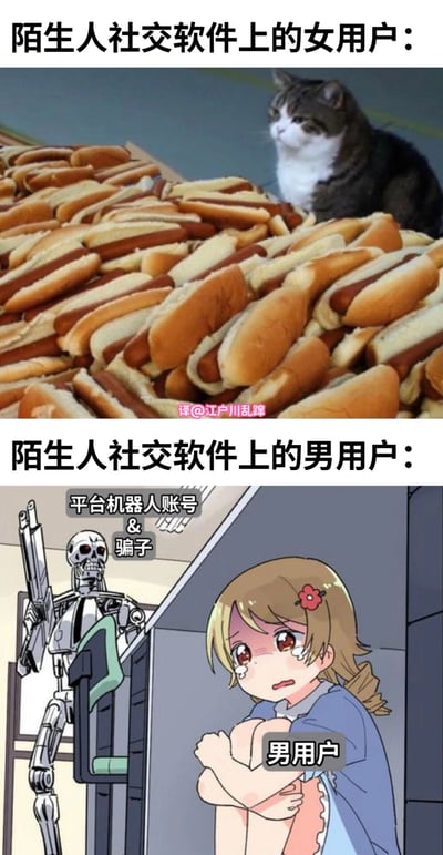 该梗图为上下对比结构，上半部分标题为“陌生人社交软件上的女用户：”，配图是一只猫淡定地坐在堆积如山的热狗中，通过夸张场景暗示女用户形象或数量的某种夸张表现；下半部分标题为“陌生人社交软件上的男用户：”，配图是一个惊恐抱膝的动漫女孩（标注“男用户”），旁边站着标有“平台机器人账号 & 骗子”的骷髅机器人，讽刺男用户在社交软件上常遭遇机器人或骗子的现象。整体通过强烈的视觉对比制造搞笑与讽刺效果，反映用户对陌生人社交平台的吐槽。
