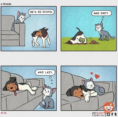 这是一组四格漫画，标题为"A FRIEND"，讲述了一只灰色猫咪对黑白狗狗从嫌弃到喜爱的态度转变。第一格中，猫咪坐在沙发上看着狗狗走过，心里想"HE'S SO STUPID."（他好笨）；第二格中，猫咪看着狗狗在草地上刨土，心里想"AND DIRTY."（还很脏）；第三格中，猫咪看着狗狗懒洋洋地躺在沙发上睡觉，心里想"AND LAZY."（还很懒）；第四格中，猫咪却依偎在熟睡的狗狗身边，头顶出现了爱心，展现了朋友间嘴上嫌弃却内心喜爱的温馨关系。