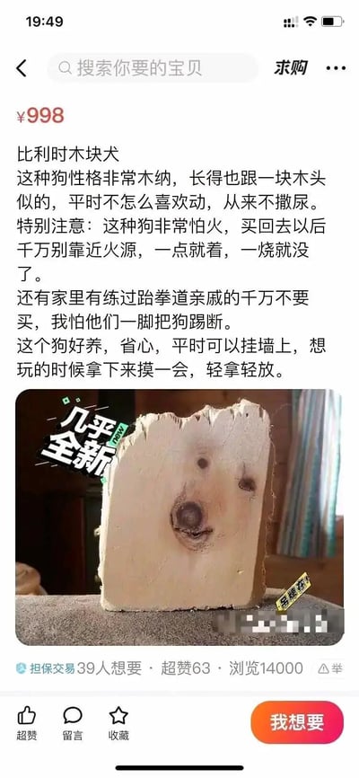 这是一张二手交易平台的商品发布截图，卖家以极具创意的恶搞方式，将一块带有天然纹理、形似狗脸的木头包装成名为“比利时木块犬”的宠物进行售卖，标价998元。商品介绍采用拟人化的搞笑口吻，给这块木头赋予了“宠物”的设定，描述其“性格木讷、不爱动、不撒尿”，还调侃它怕火、怕练跆拳道的人一脚踢断，甚至说可以挂墙上、轻拿轻放，商品图上标注“几乎全新”“吊牌在”，页面底部显示该商品有39人想要、63个超赞、14000次浏览，整体内容充满趣味性，是网友创作的恶搞类内容，用来制造笑点。