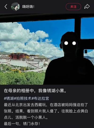 这是一张游客在布达拉宫前拍照的合影，因为逆光拍摄导致整个人物只剩下黑色剪影，像‘钢湖’动画（钢之炼金术师）里的小黑人角色，眼睛还被后期用白色圆点处理，画风幽默。配文自嘲‘在母亲的相册里，我像钢湖小黑’，还用‘钢湖’作为谐音（钢之炼金术师，以及照片拍糊了），整体气质轻松搞笑，带有二次元宅文化味道。

双关与暗示：‘钢湖’既指钢之炼金术师，又暗指照片拍糊；小黑人形象是宅圈暗梗。