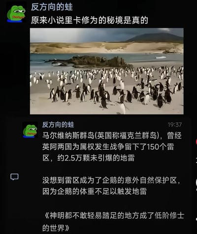 这是一张X平台的用户发帖截图，发帖用户昵称为“反方向的蛙”，头像是悲伤蛙表情包。内容首先搭配了一张马尔维纳斯群岛海滩上聚集大量企鹅的实拍图，配文玩梗称“原来小说里卡修为的秘境是真的”，后续补充冷知识：马尔维纳斯群岛曾因英阿马岛战争遗留150个雷区、共约2.5万颗未引爆地雷，人类无法进入雷区，但企鹅体重不足以触发地雷，因此雷区意外成为了企鹅的自然保护区，最后用户将该现象对应修仙网文的常见设定，调侃为“神明都不敢轻易踏足的地方成了低阶修士的世界”，贴合修仙小说中高阶修士无法进入、仅低阶修士能活动的秘境设定。
