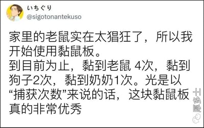 这是一张X.com（原Twitter）用户@sigotonantekuso发布的社交媒体帖子截图。内容讲述因家里老鼠猖狂而使用黏鼠板，幽默地列出捕获记录：老鼠4次、狗子2次、奶奶1次，并调侃黏鼠板以“捕获次数”论非常优秀。帖子带有用户头像，整体为文字为主的社交媒体分享，风格轻松搞笑。