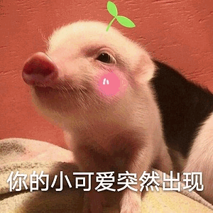 你的小可爱突然出现