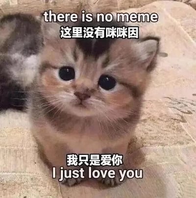 暂无描述