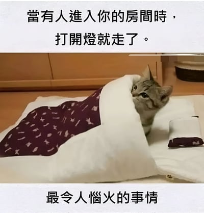 图片上方有文字“当有人进入你的房间时，打开灯就走了。”，中间是一只灰色的猫裹在紫色带白色图案的毯子里，只露出头和一只眼睛，表情看起来有些不满和警惕。图片下方有文字“最令人恼火的事情”。整体通过猫咪的表情和文字内容，幽默地表达了被人打扰休息的不满情绪。